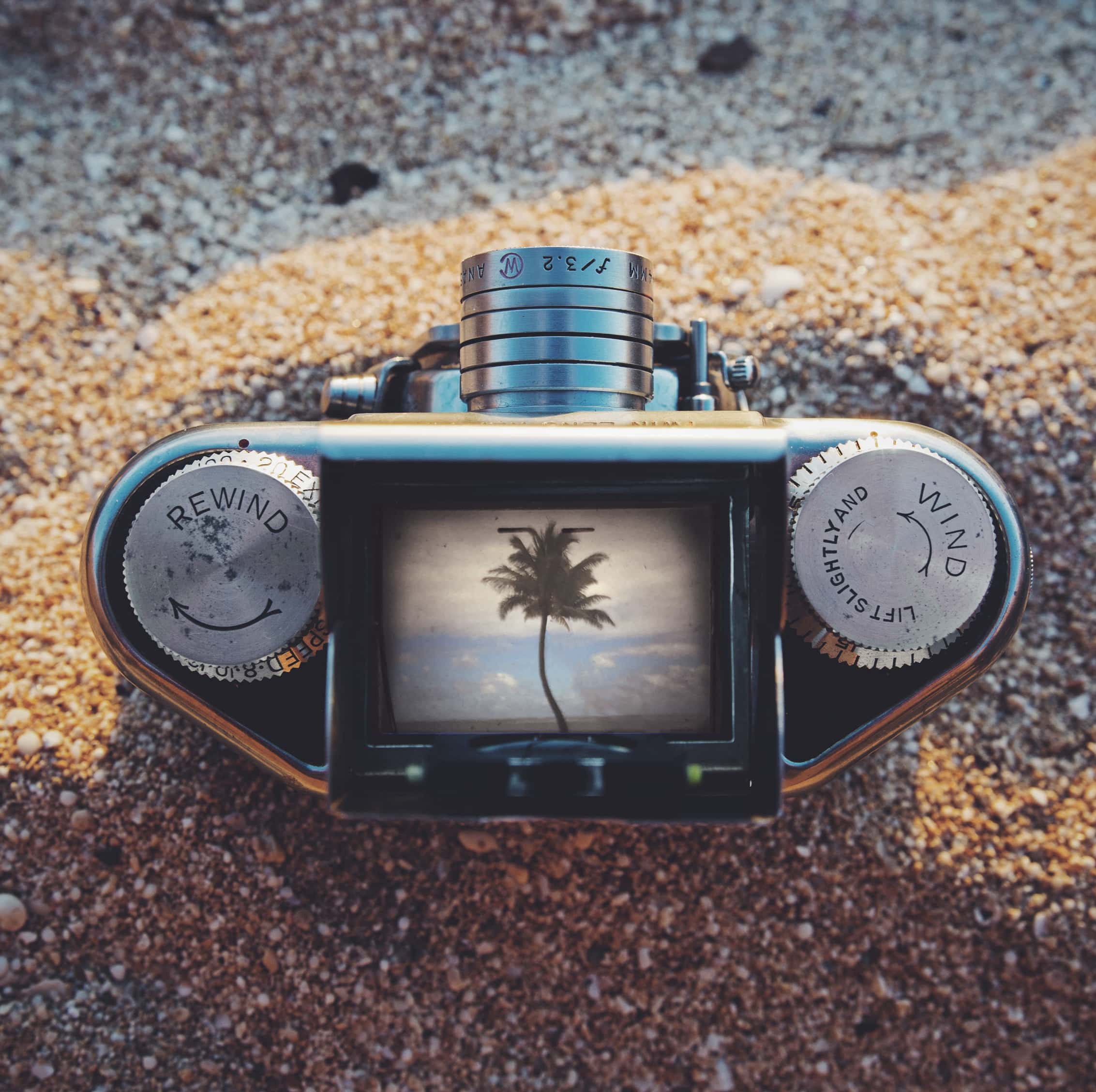 A palm tree and the ocean displayed in a waist-level viewfinder on a beach in Hawaii.
