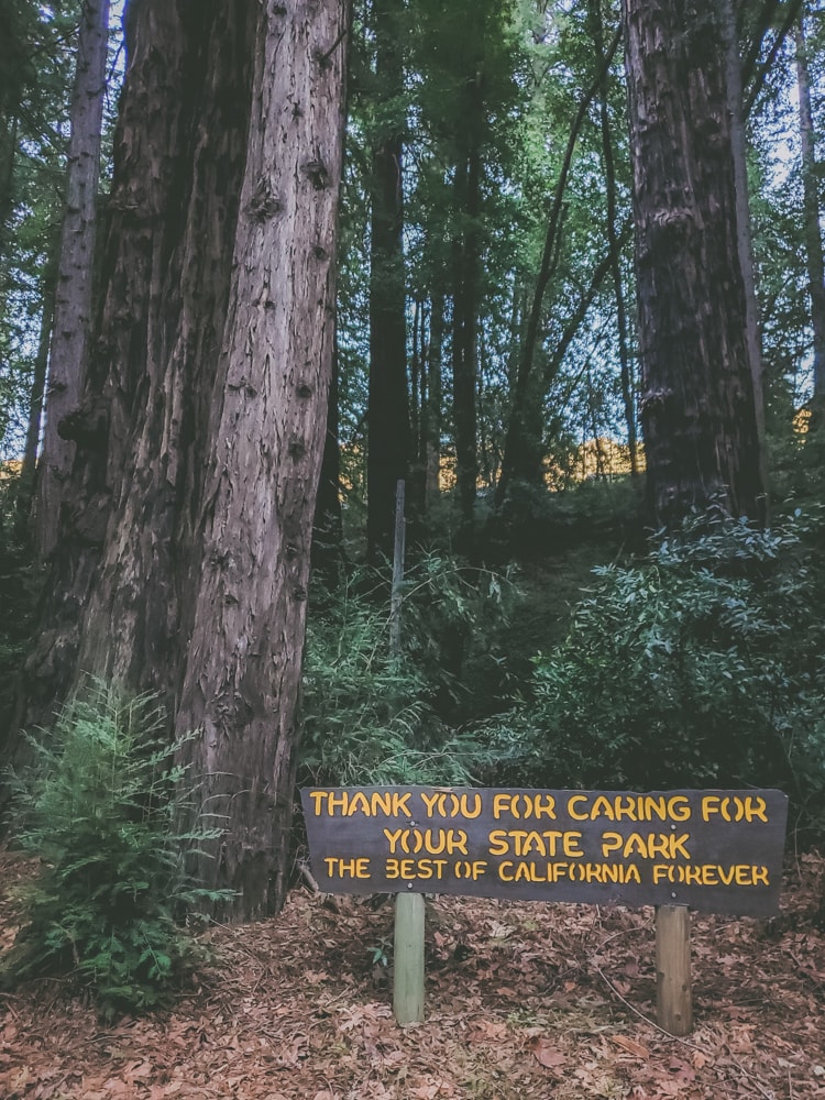 A sign thanking tourists for respecting and caring for the environment during their visit, the key goal of Leave No Trace.